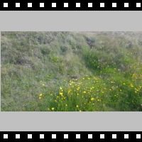 DJI_20190810_103151.mp4