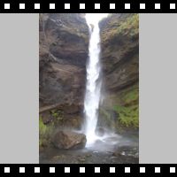P8183221b.mp4